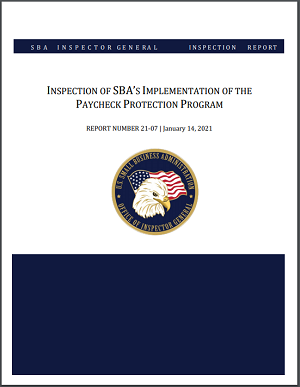 OIG PPP report