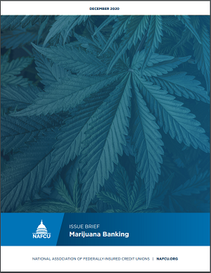 Marijuana banking issue brief