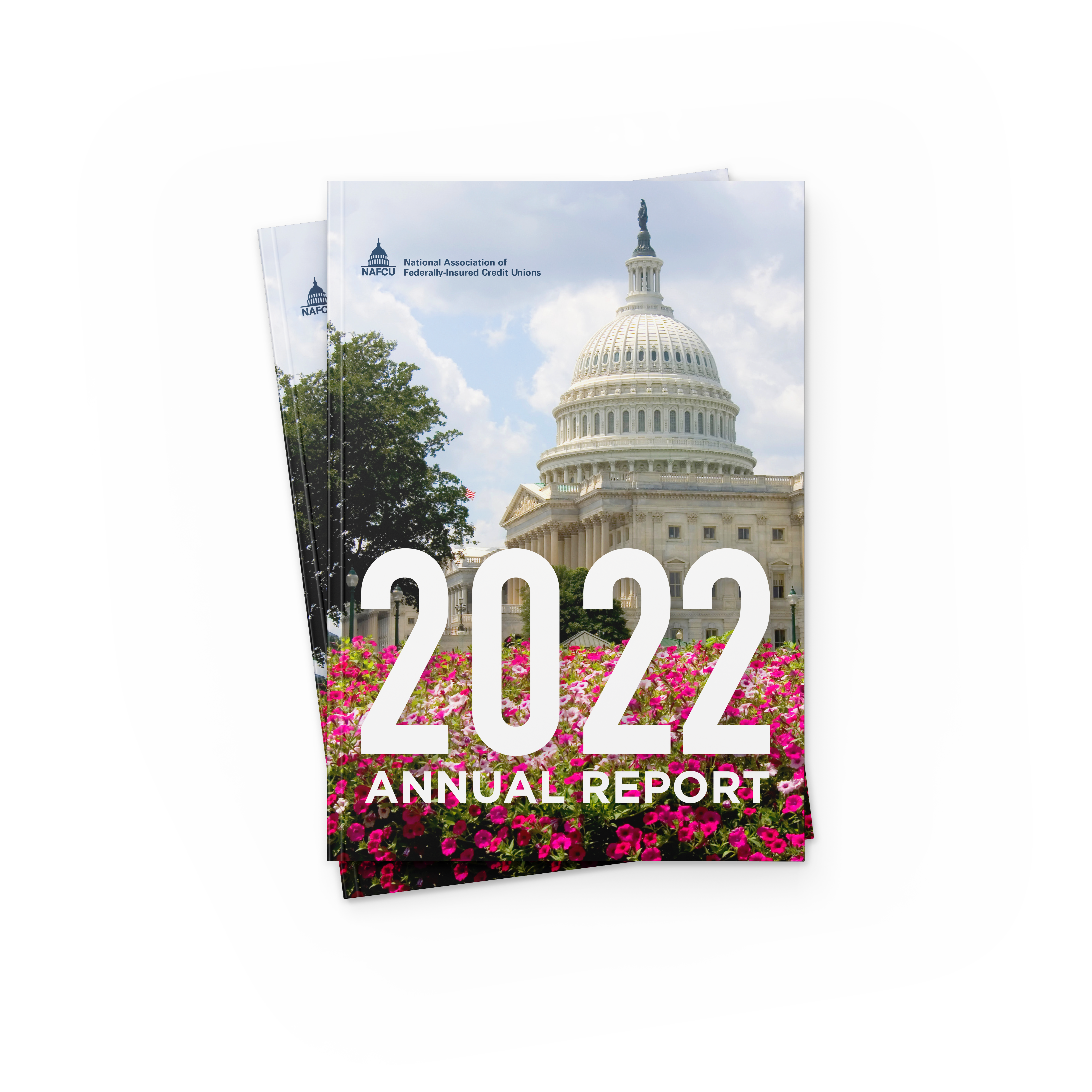 2022 Annual Report