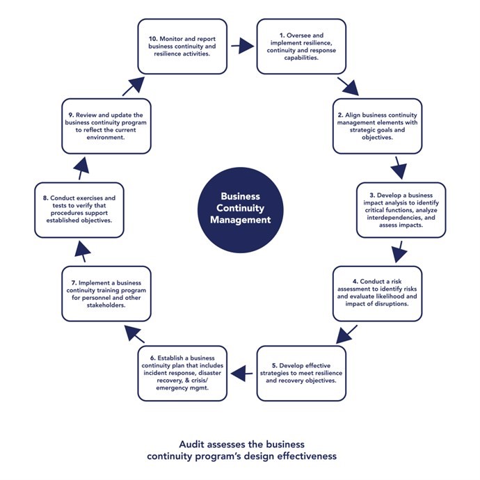 10 Step Business Continuity Management Cycle