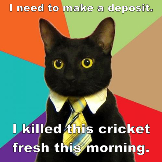 Business Cat meme with caption "I need to make a deposit. I killed this cricket fresh this morning."