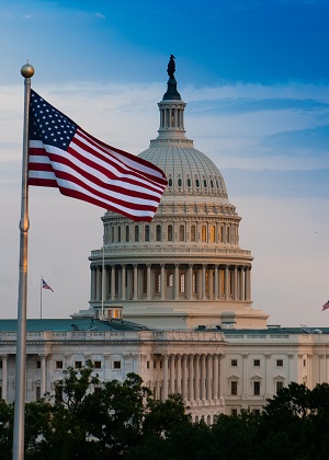 Capitol Dome