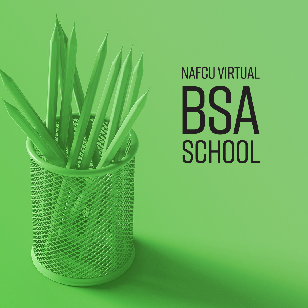 BSA School