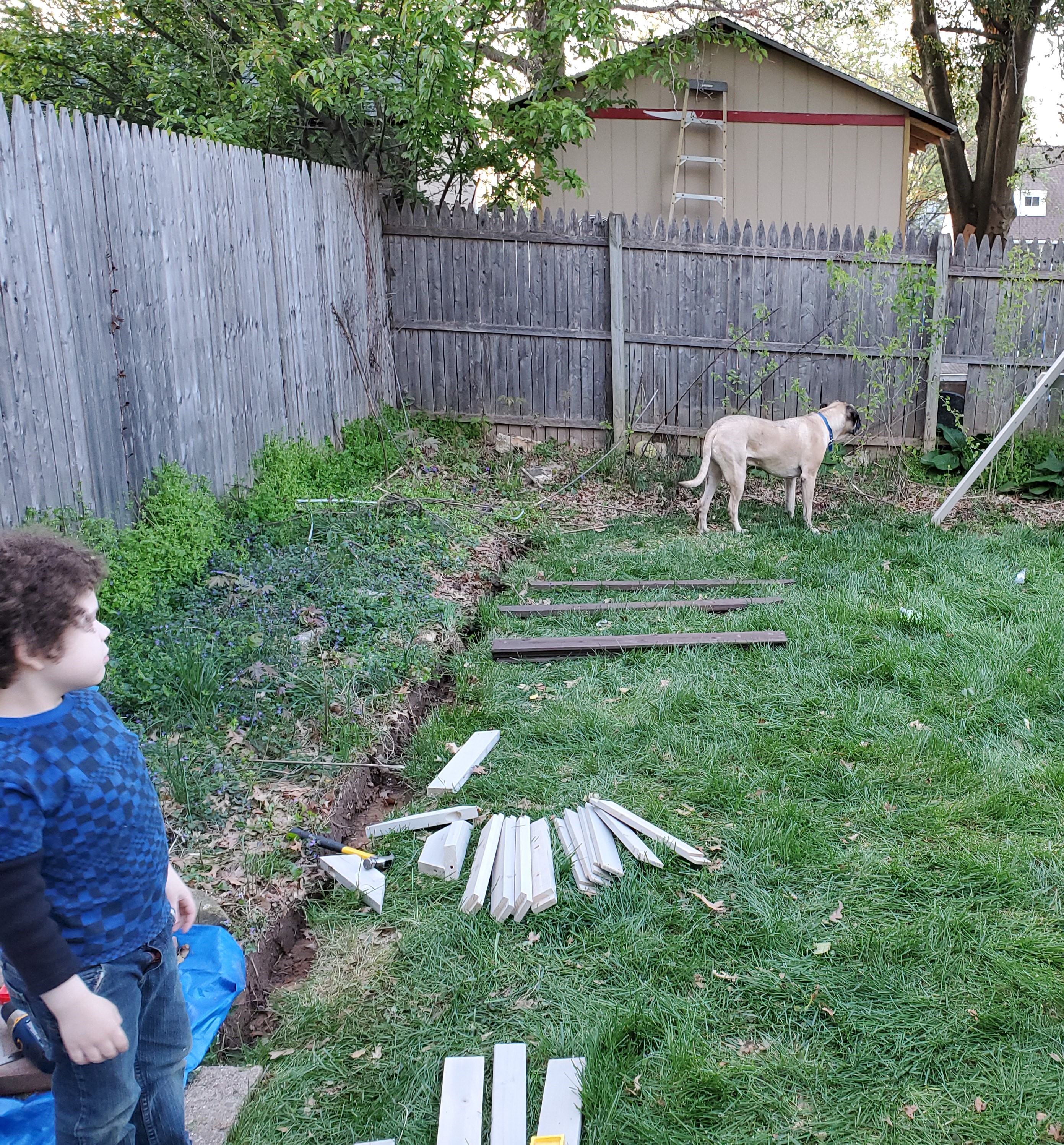 Large dog by a fence