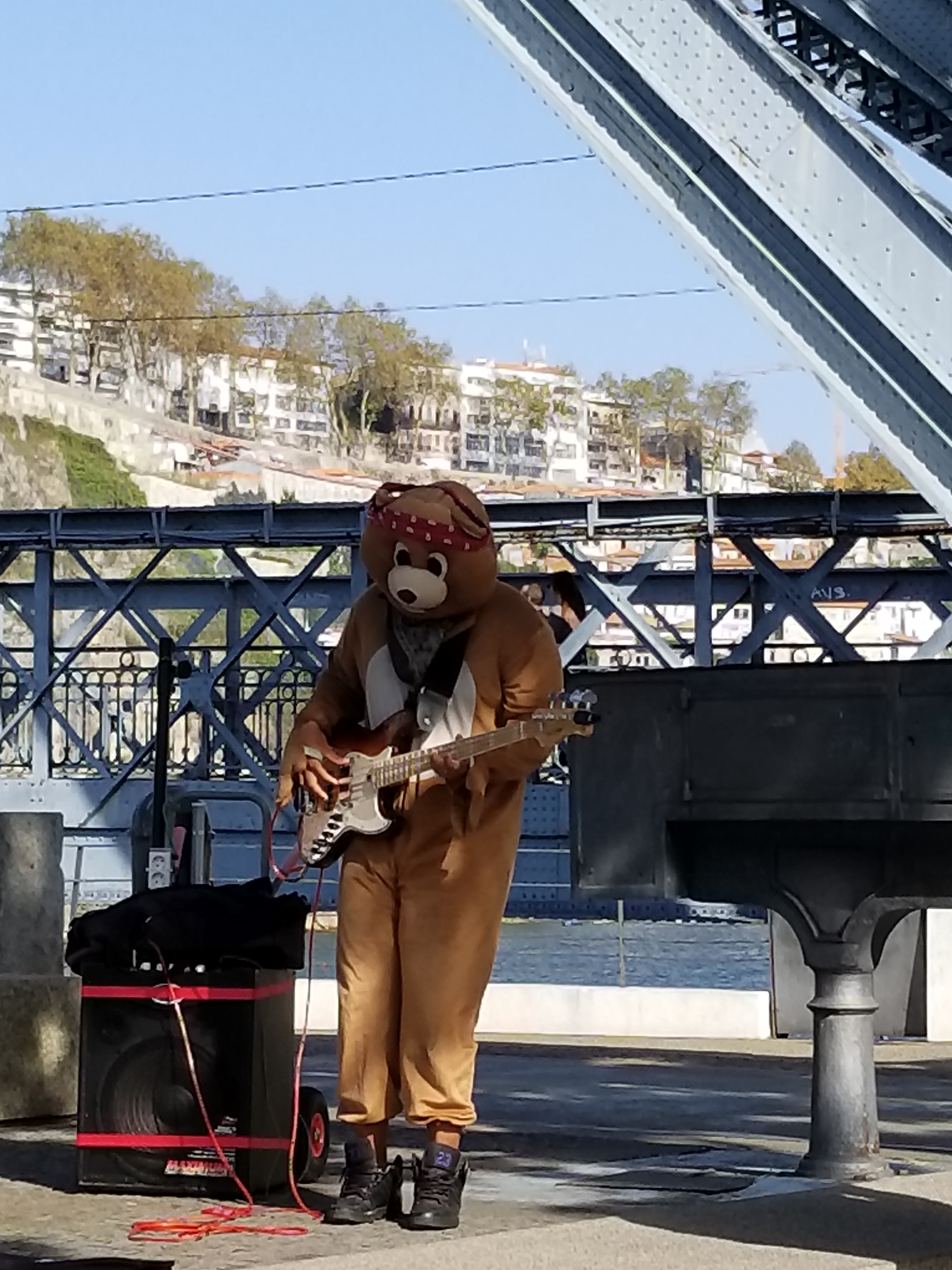 Guitar Playing Bear Front