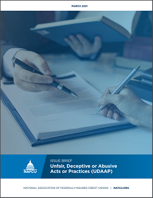 UDAAP issue brief