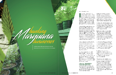 Banking Marijuana Businesses Article
