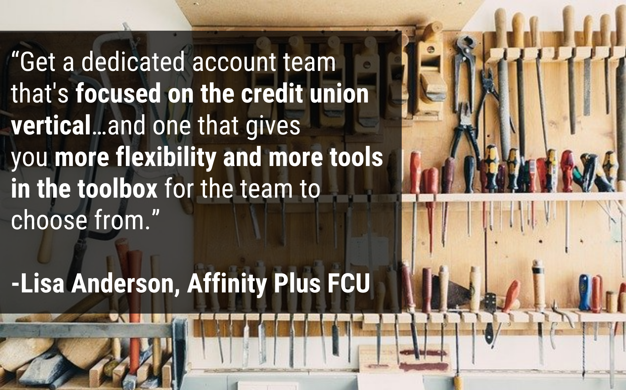 Lisa Anderson, Affinity Plus FCU