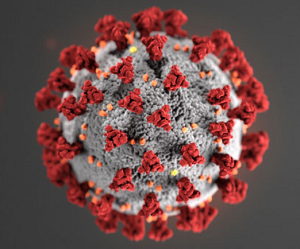 coronavirus