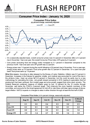 CPI Flash Report