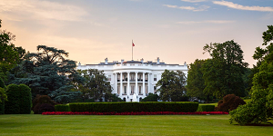 white house