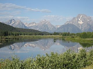 Teton Reflection