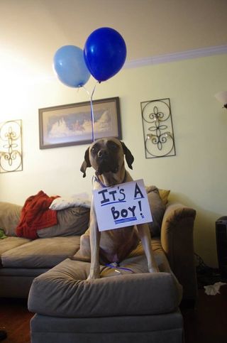 Lemmy balloons