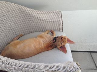 2013-08-22 12.29.01