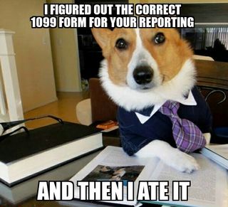 Lawyer Dog