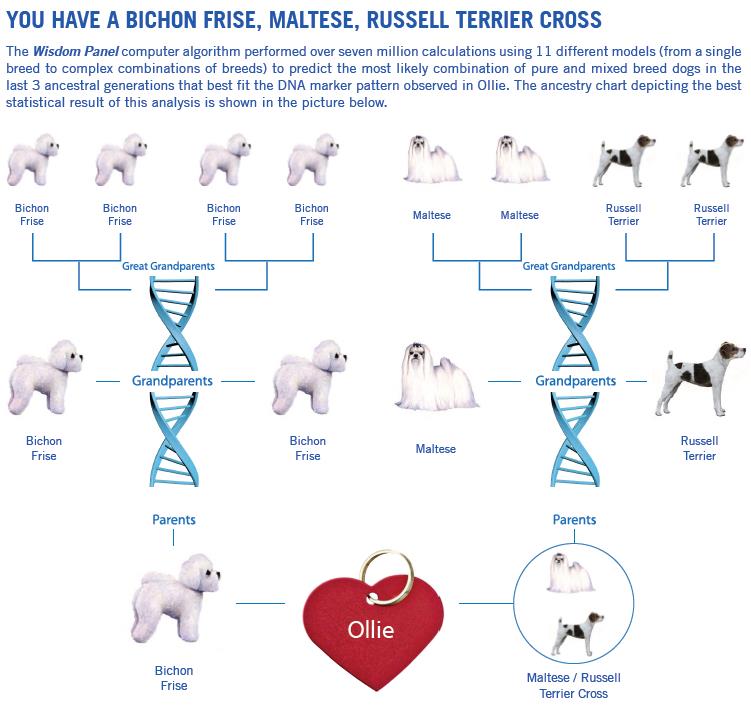 Wisdom Panel Results