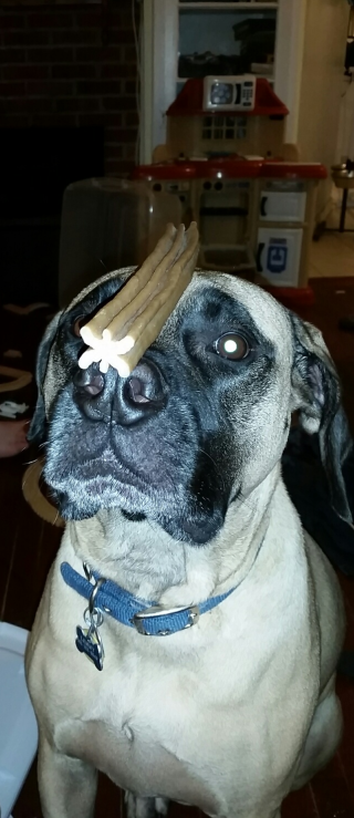 Lemmy Trick or Treat 2