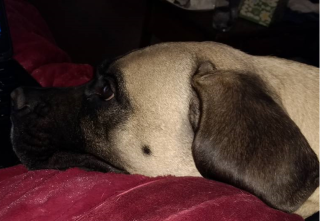 Lemmy Personal Space (2)