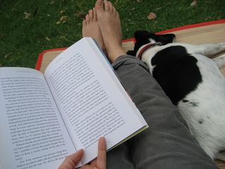 Backyard reading