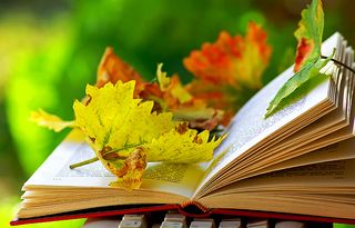 Reading-a-book-in-fall